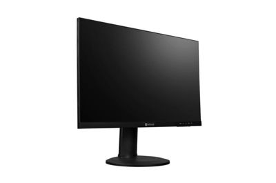 Bild von FS-24G 23,8" (60,4cm) LCD Monitor                                                                  